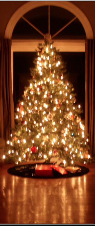 Sarah's Christmas Tree